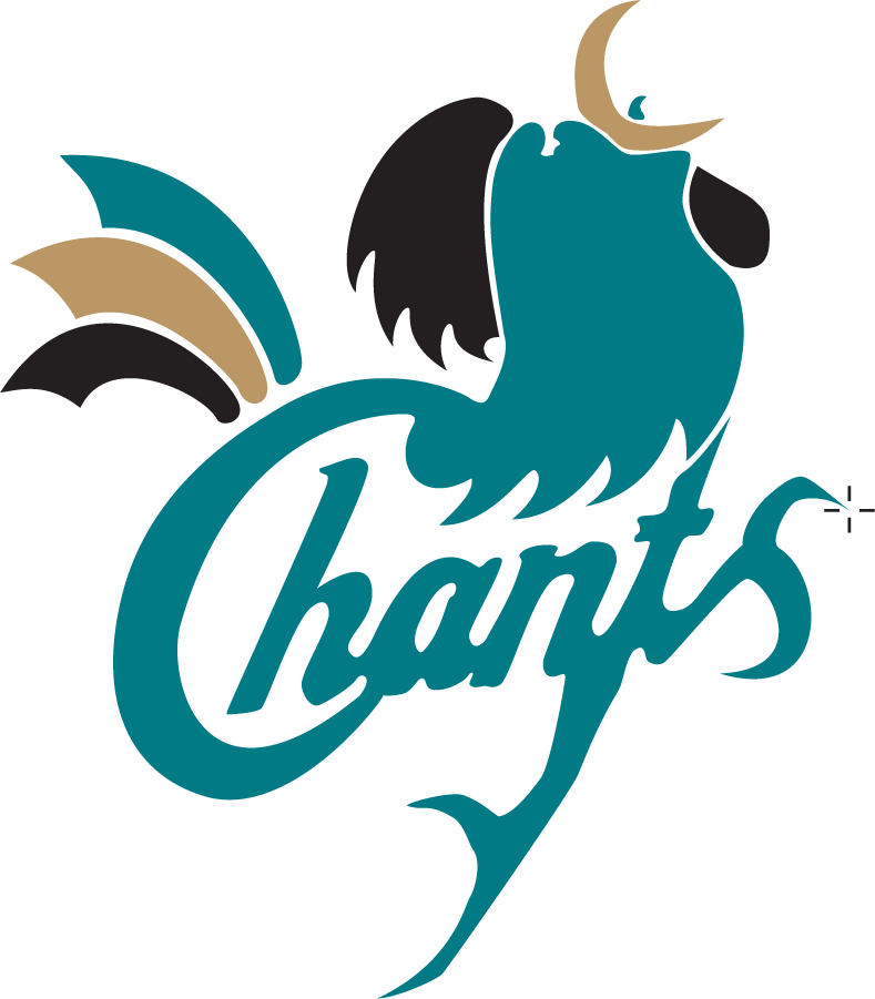 Coastal Carolina Chanticleers 1995-2002 Primary Logo diy DTF decal sticker